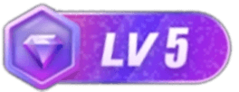 等级-LV5-次元总站