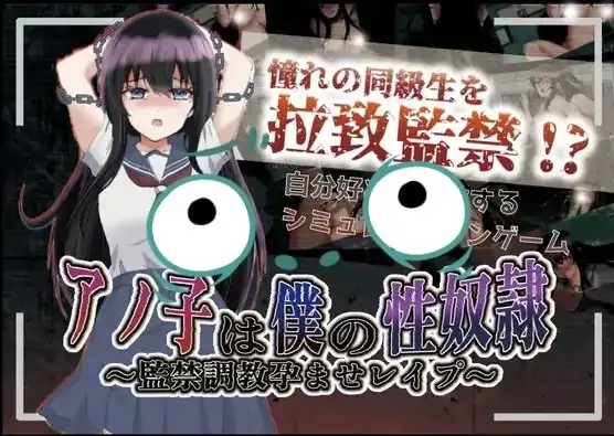 安卓+电脑 [RPG/调教]那孩子是我的X奴之监禁调教 作弊-次元总站