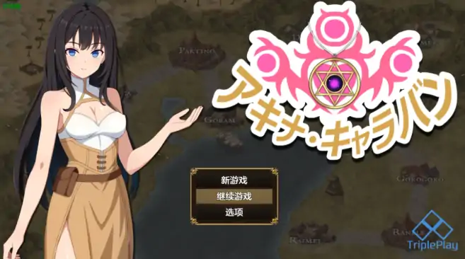 安卓+电脑【日系RPG/作弊/堕落】阿基娜商队1.0 骑-次元总站